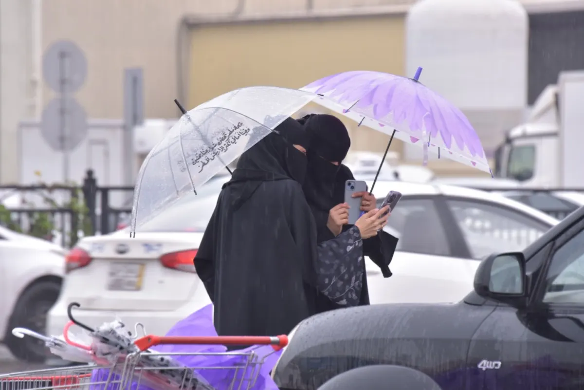 ماذا ينتظر سكان الشرقية غدًا؟ الأرصاد يُجيب