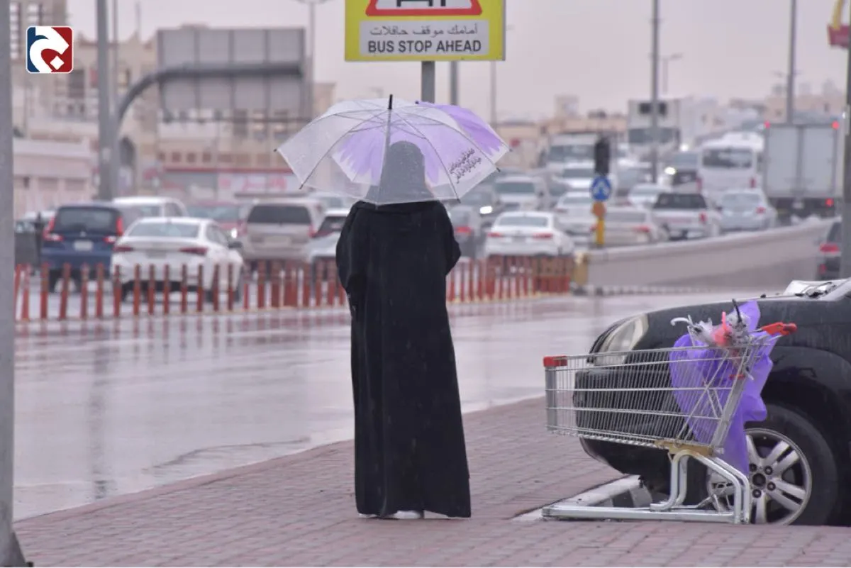 طقس بارد وضباب.. ملامح أجواء المملكة في إجازة الخريف
