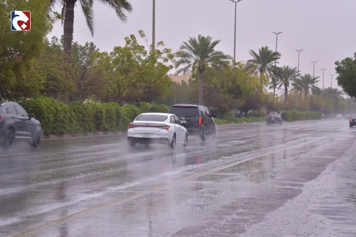 3 ملم فقط.. خريطة مناخية ترصد جفاف الشرقية التاريخي