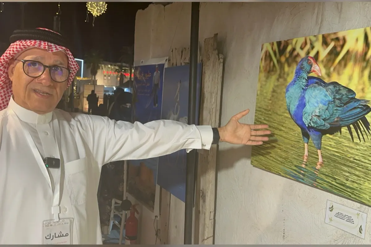 «الفلامنجو والنورس والطليلي».. عدسة «البصارة» ترصد طيور جزيرة تاروت