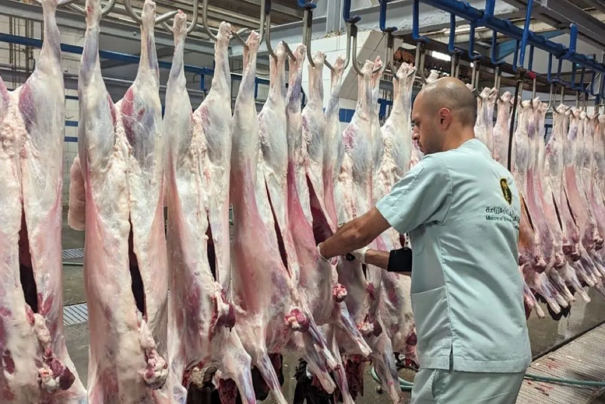 38 مخالفة و 190 إنذاراً.. حصيلة جولات ”بيئة الشرقية“ الرقابية بعيد الفطر
