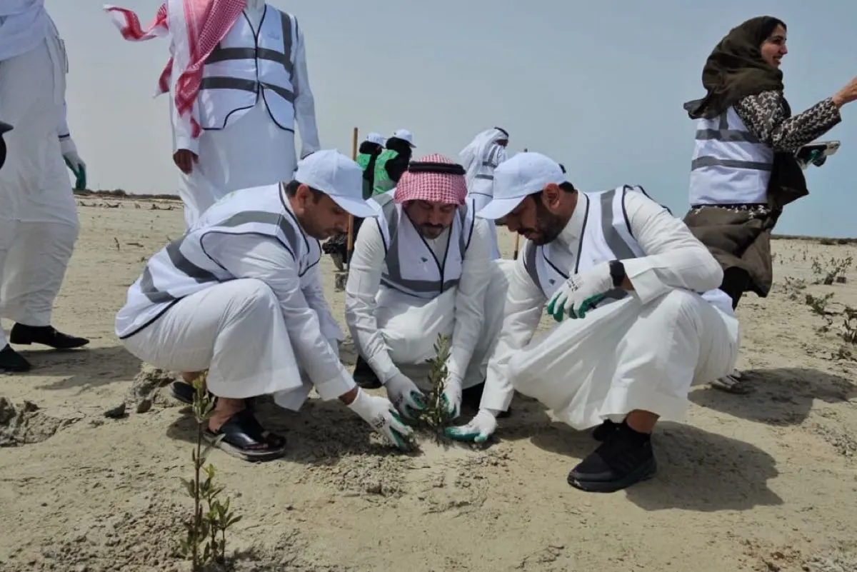 القطيف.. تدشن المرحلة الثانية لزراعة 100 ألف شتلة مانجروف في دانة الرامس