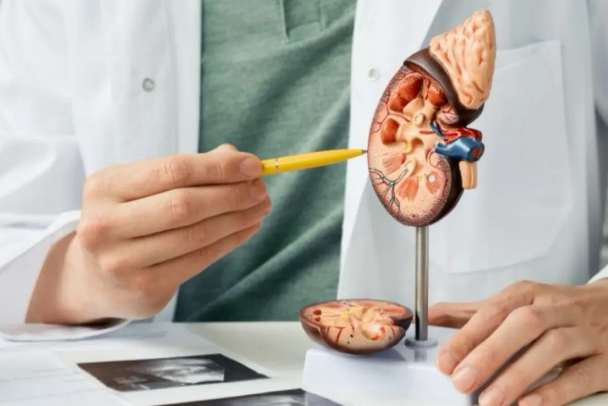 مختص: مرضى الكلى بحاجة إلى استعدادات خاصة قبل أداء مناسك الحج