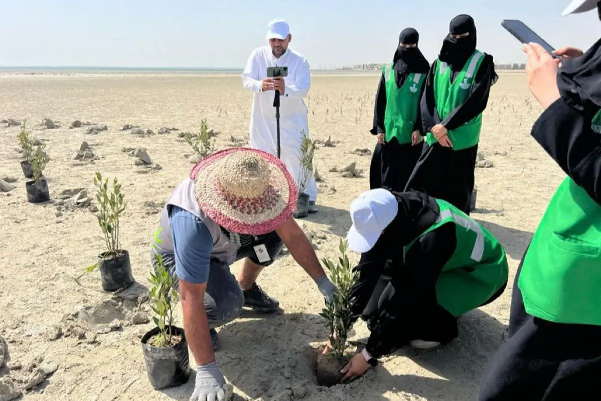 80 متطوع يزرعون 100 ألف شجرة وينظفون شواطئ القطيف