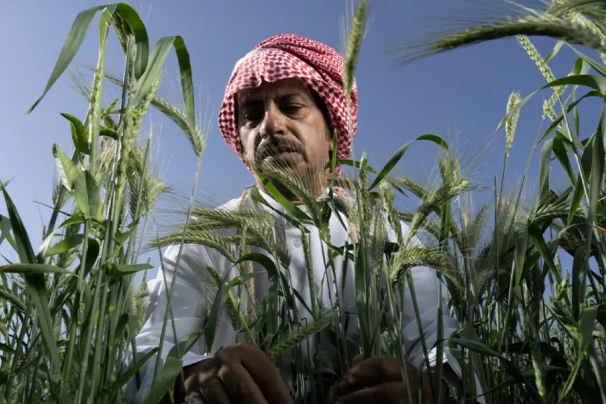 ”ريف السعودية“ يطلق مشروعاً لإنتاج 50 ألف شتلة بُن بتقنية الأنسجة