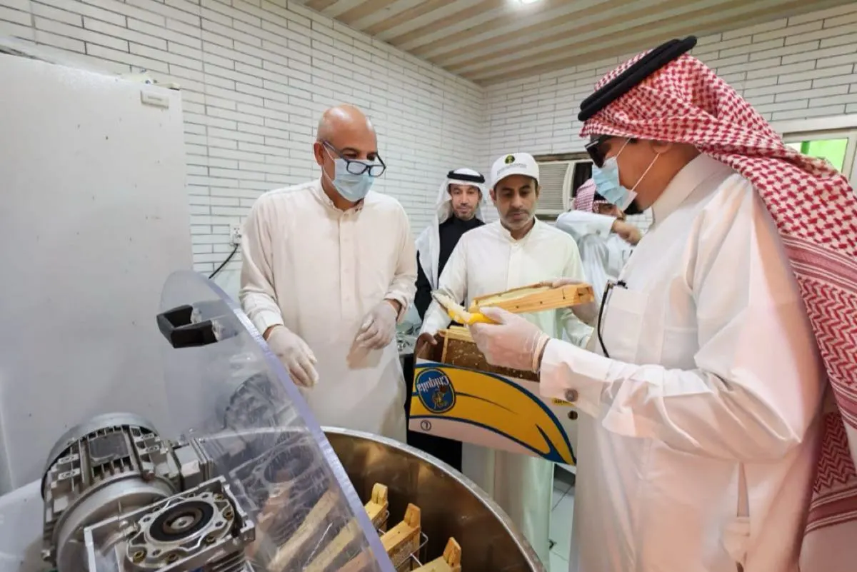 ماذا وجد مدير ”زراعة القطيف“ خلال متابعته لفرز عسل المانجروف؟