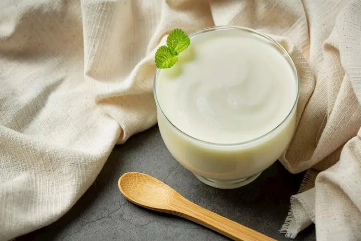 مواصفة خليجية جديدة لضبط جودة الزبادي اليوناني