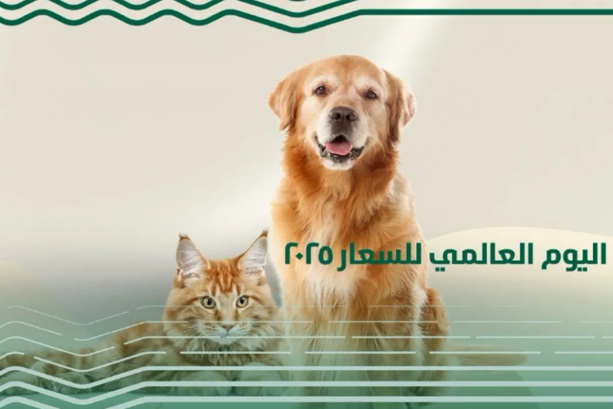 لديك كلب أو قطة؟.. معلومات لا غنى عنها تنتظرك هذا الأحد في صفوى