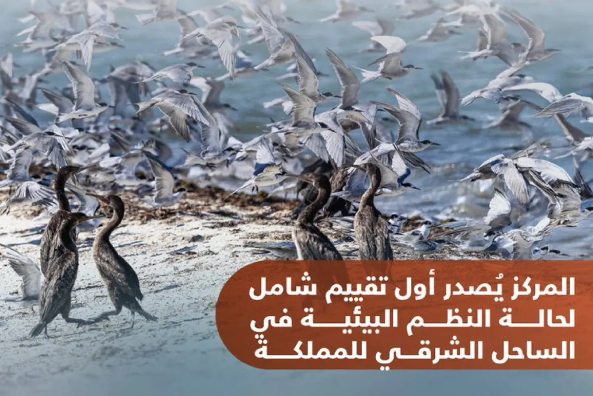 ماذا كشف ”أول تقييم شامل“ لبيئة الساحل الشرقي؟