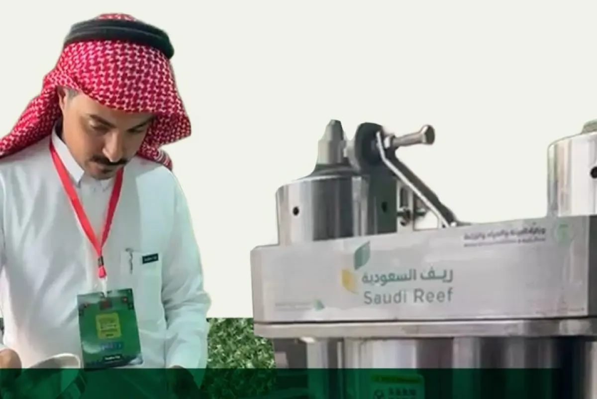”ريف“: 10 دقائق لعصر السمسم.. والإنتاج يرتفع 25%