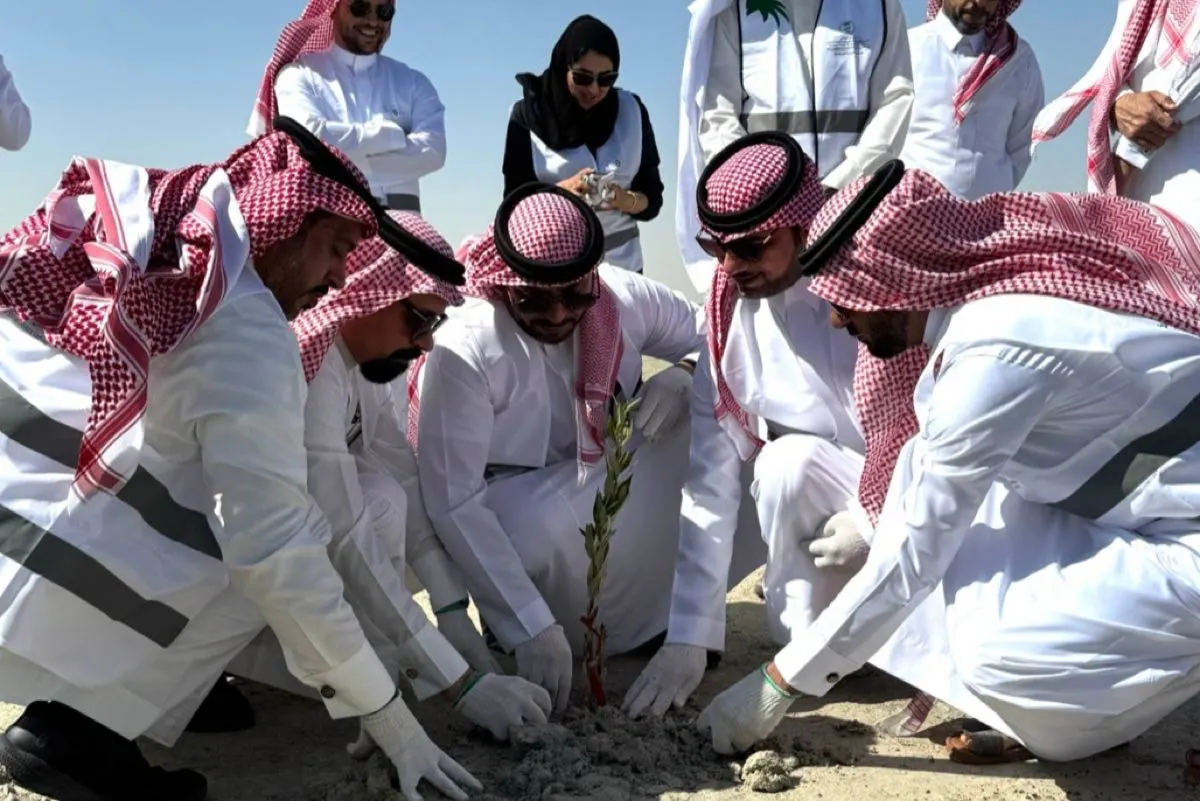 150 متطوعاً يدشنون موسم التشجير بزراعة المانجروف في القطيف