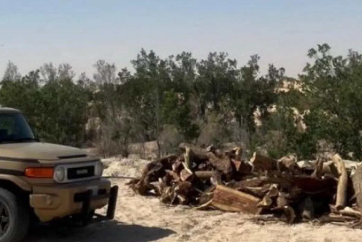 ضبط 8 أمتار حطب محلي بالشرقية.. وغرامات رادعة تصل لـ 32 ألف ريال