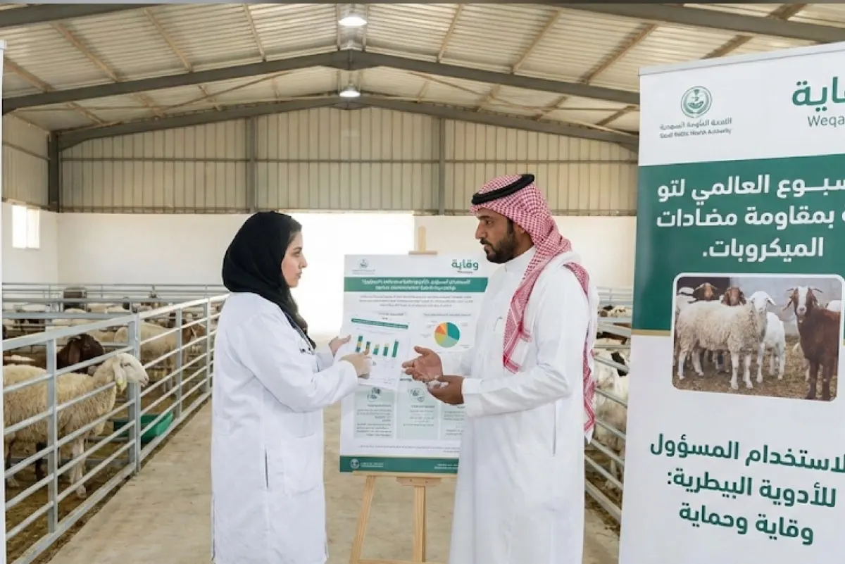 حظر استخدام المضادات للنمو واشتراط الوصفة البيطرية.. ضوابط جديدة للمزارع