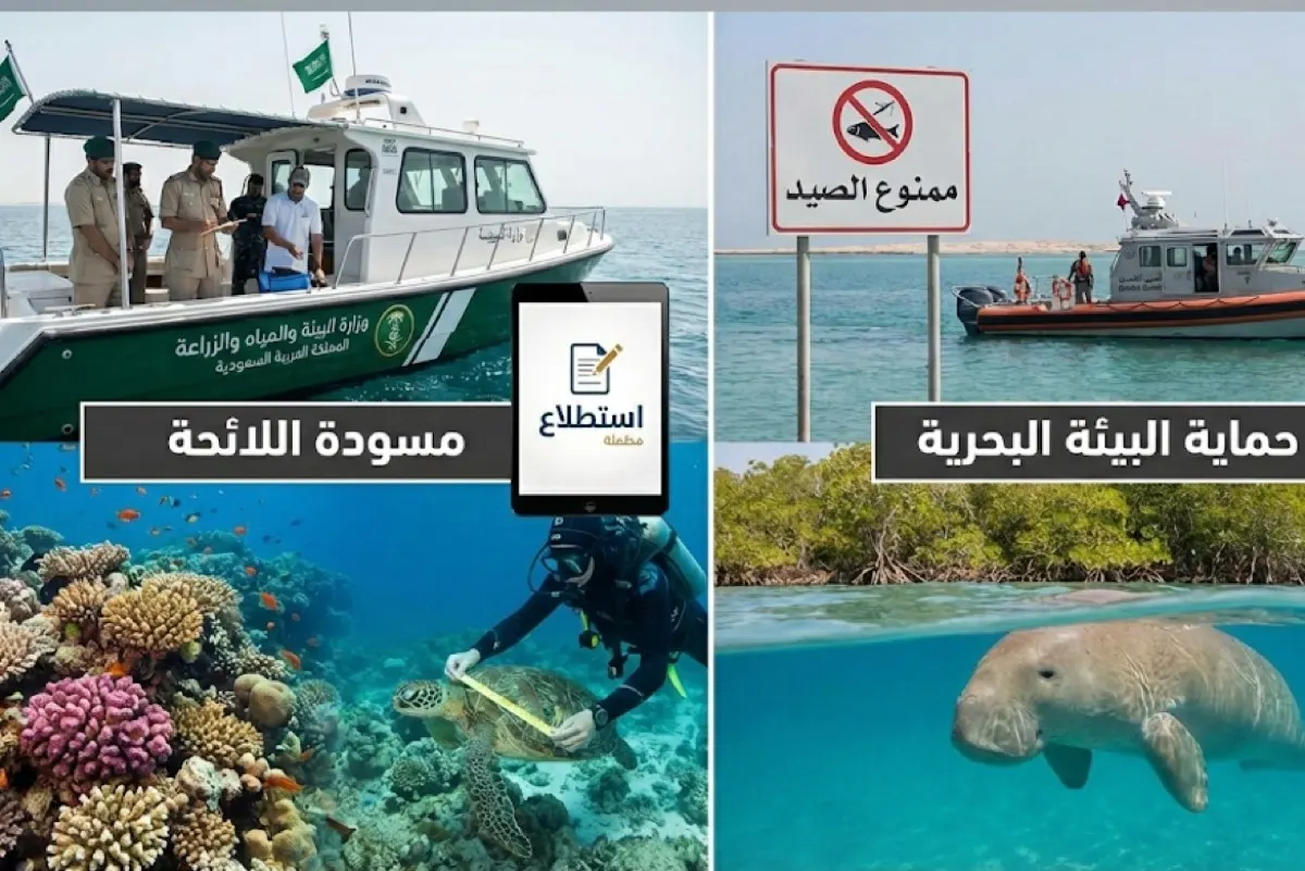 لائحة جديدة تحظر الاقتراب من الكائنات البحرية دون ترخيص.. تعرف عليها