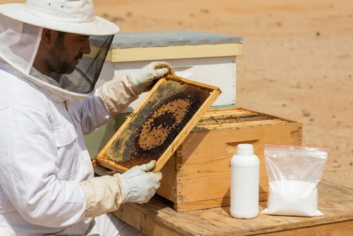 بإنتاج 2100 طرد نحلي.. 8 مشروعات زراعية تدعم الاقتصاد الريفي