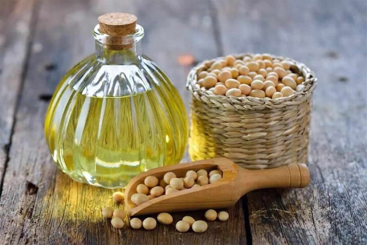 يسيطر على 30% من مطابخ العالم.. «الزيت النباتي» يهدد الكبد ويراكم الدهون