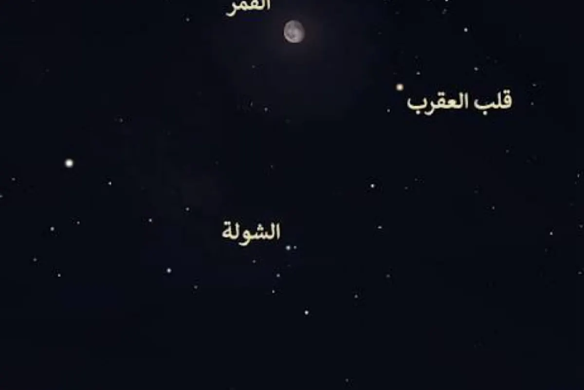 «الشولة» تشرق اليوم.. نجوم موجودة ولكن قد لا تراها عيناك