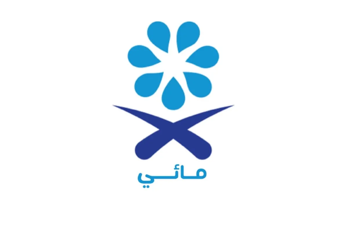 بقرار وزاري.. إقرار التحقيق الإلكتروني والاستعانة بالشركات لضبط المخالفات المائية