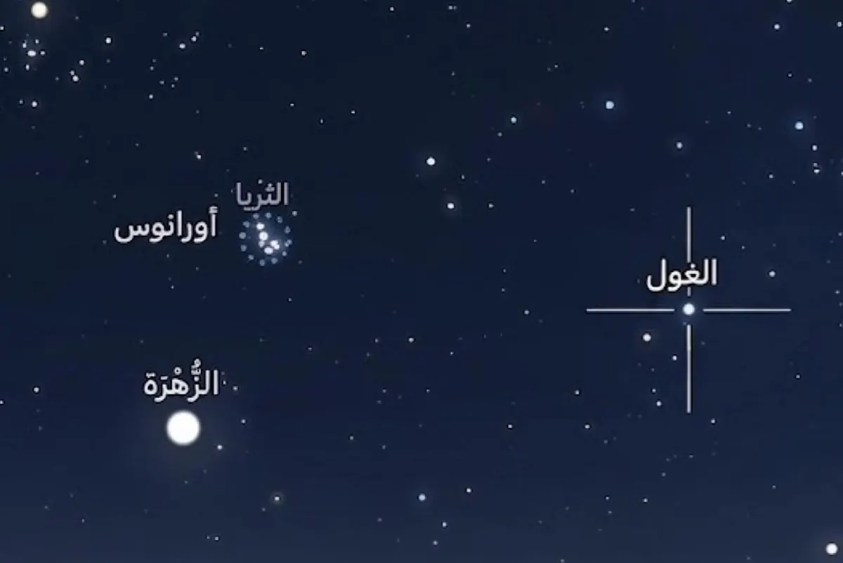 بهلال خافت وسماء صافية.. نجم «الغول» يضيء سماء المملكة الليلة