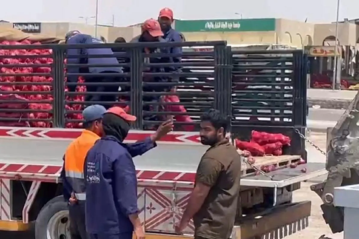 قبل بيعها.. إتلاف 1400 كيس بصل فاسد بالأحساء