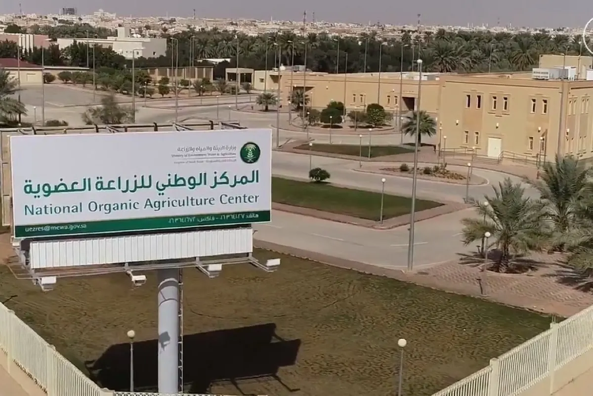 «التغذية الذكية» للدواجن.. كيف تواجه المزارع حرارة الصيف؟