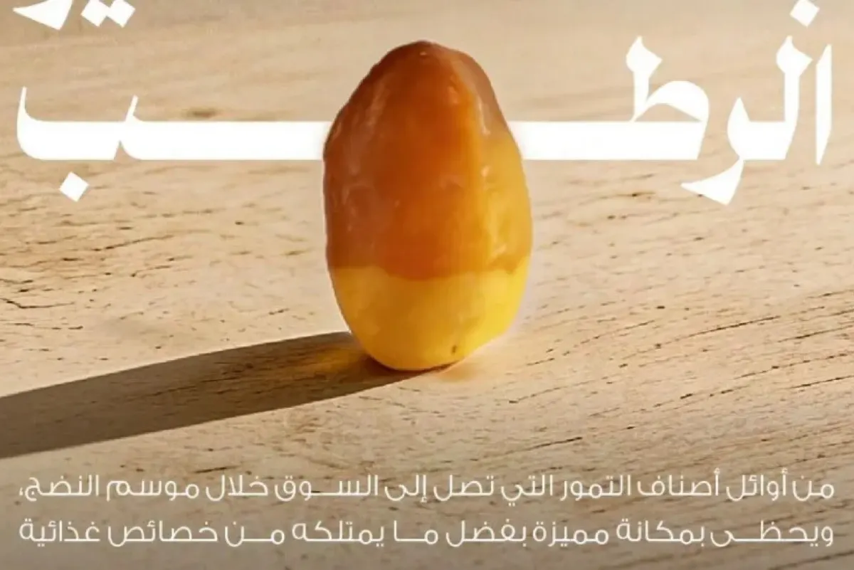 أسواق التمور تنتعش.. «الربيعة» يفتتح موسم الرطب في السعودية