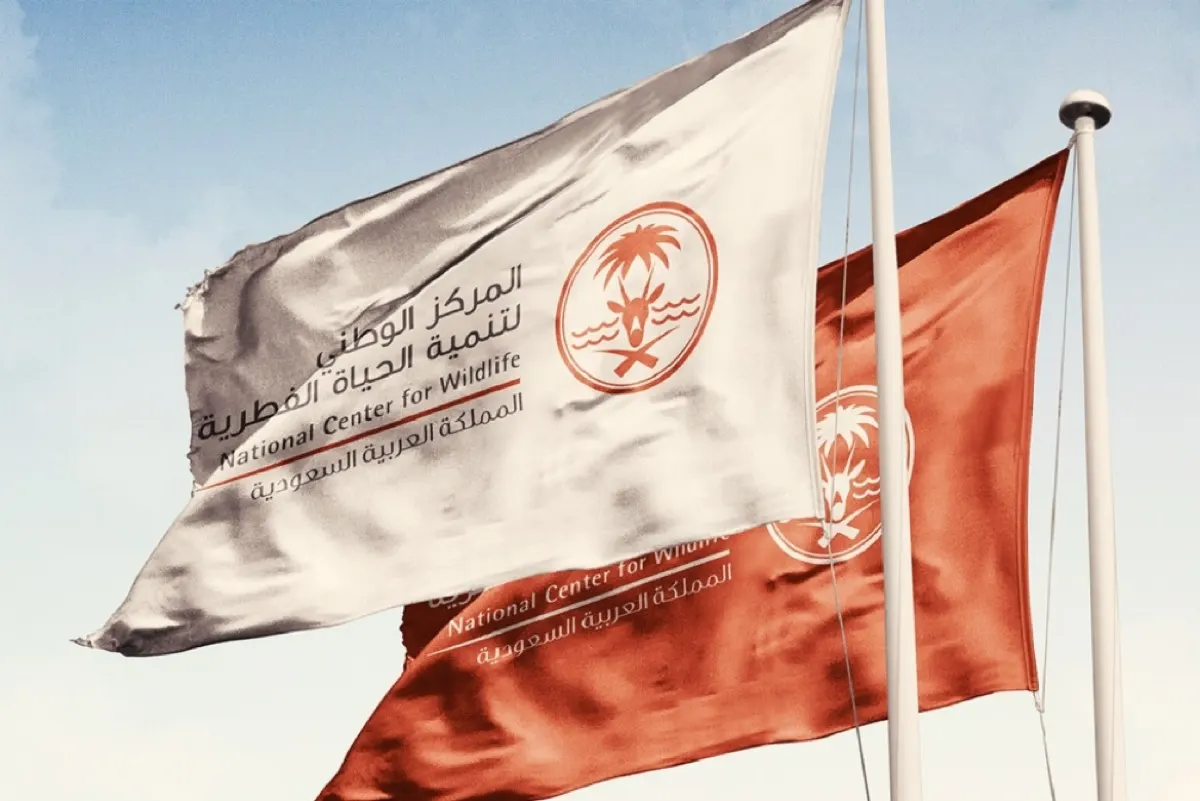 للصيادين: البنادق والصقور مسموحة.. واحذروا المطاردة والسموم