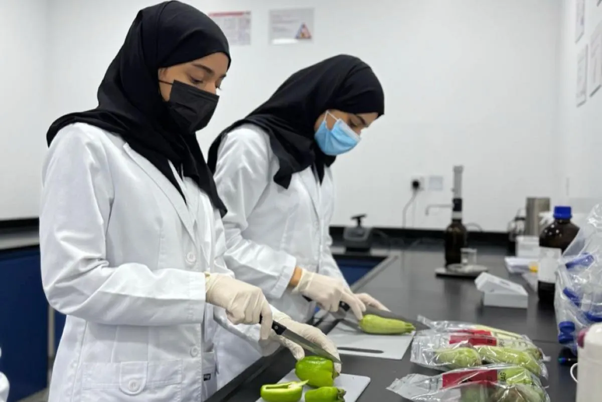 إتلاف طُنين من الأغذية الفاسدة.. و 849 فحصًا مخبريًا للرقابة الصحية بالأحساء