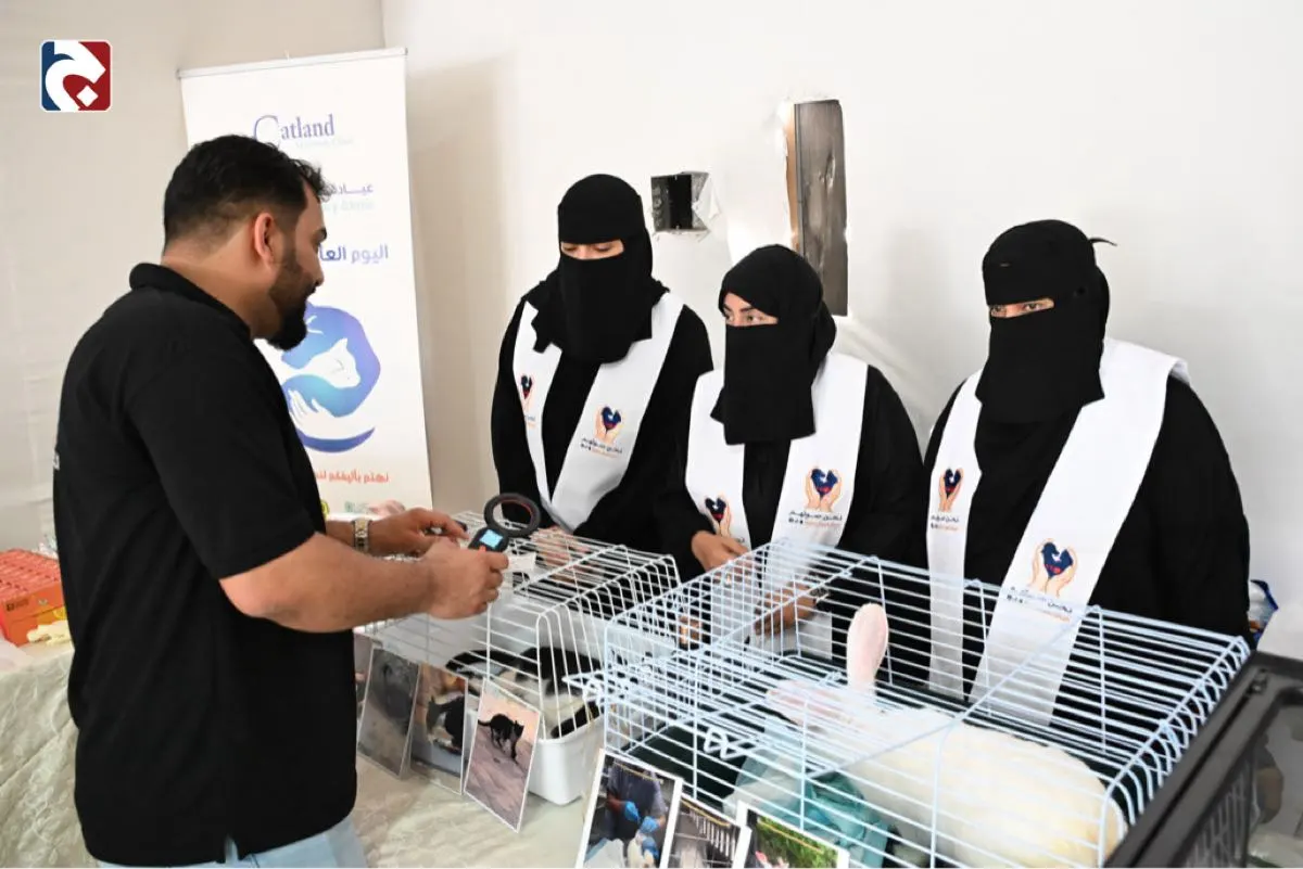 ب 5 ملاجئ منزلية.. فريق تطوعي ينقذ 5 آلاف حيوان ويدعم الحالات المعاقة في القطيف