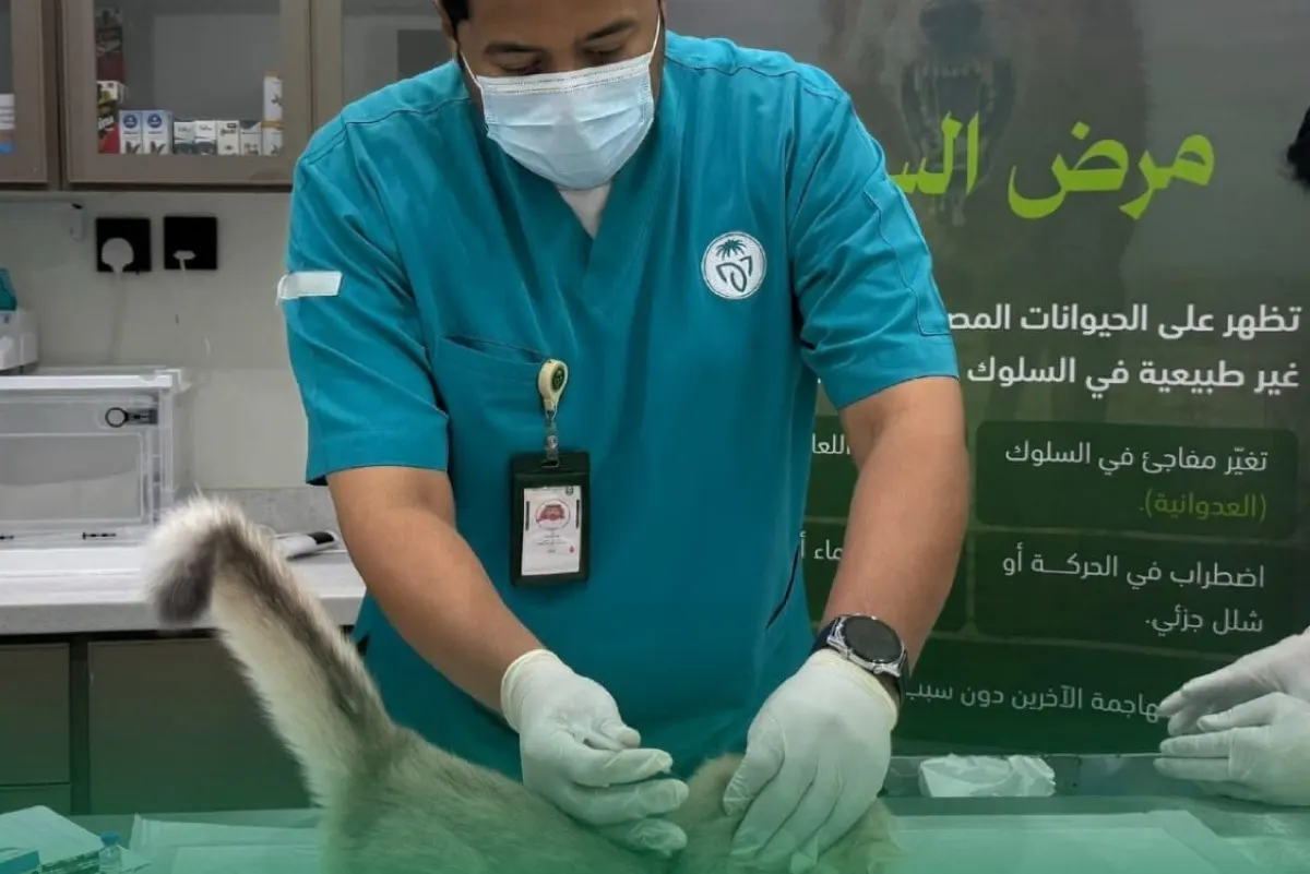 حملة وطنية لتحصين الحيوانات الأليفة ضد «السعار» في 8 مناطق