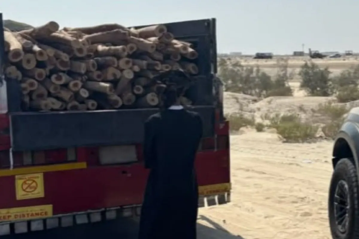 غرامته تصل لـ 80 ألف ريال.. ضبط ناقل 5 أمتار حطب بالشرقية