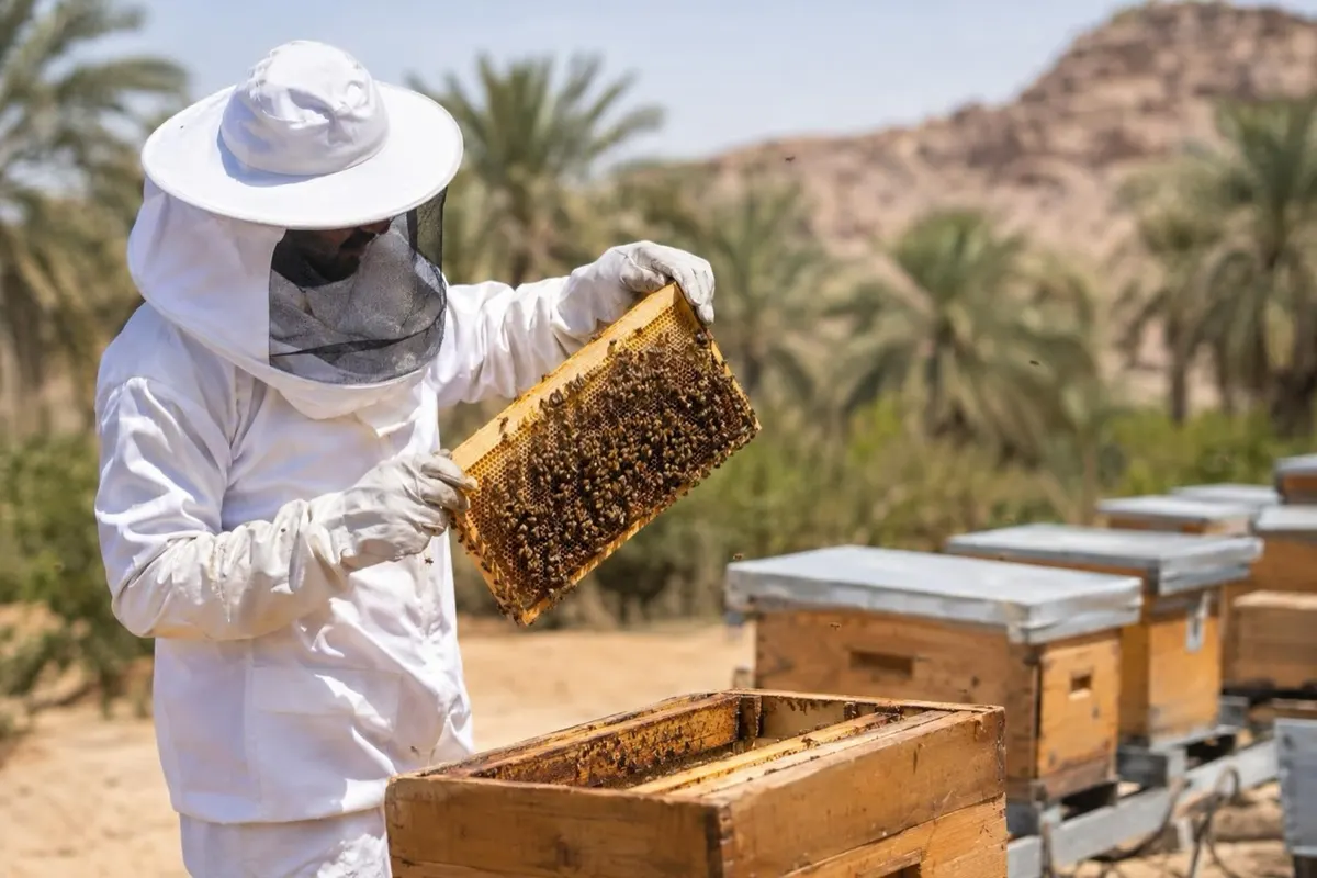 ب 48.2 مليون ريال.. إطلاق 5 مشاريع لإنتاج العسل وتأهيل النحالين
