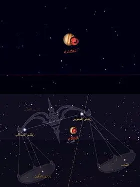 ماذا يمكنك أن تشاهد هذه الليلة؟