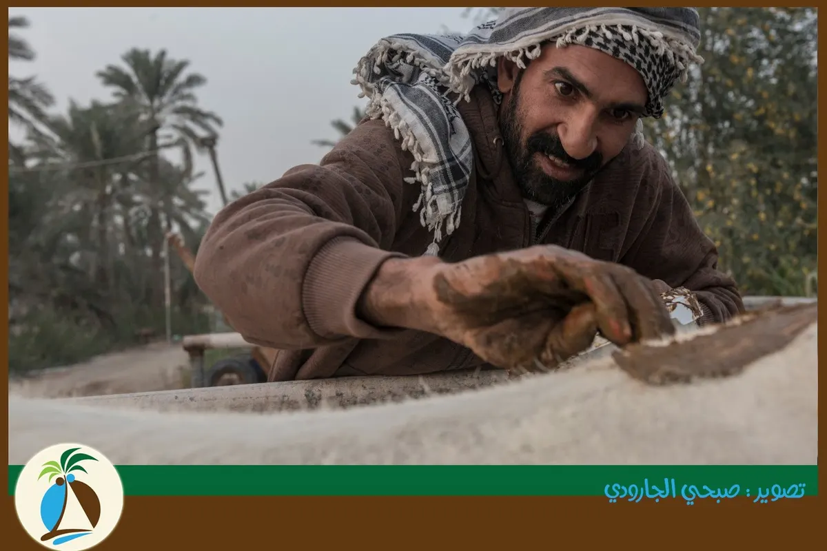 خلطة حنّاء الحمير أكثر تعقيداً من حنّاء البشر