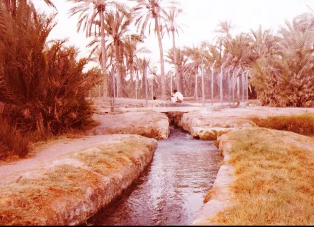 “هَوزْ نص إنش” لعين أم عمار