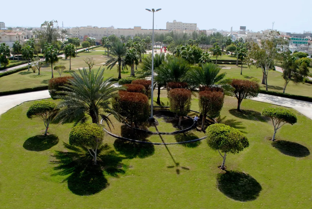 وجه القطيف.. الأخضر