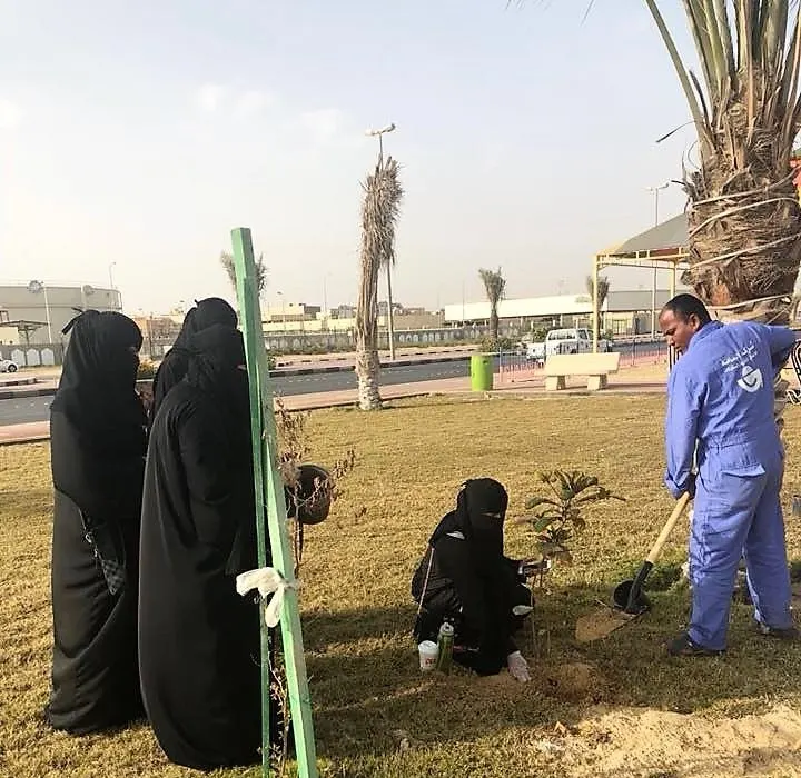 سيدات صفوى يغرسن ممشى “جاوان” بالورد.. تطوّعاً