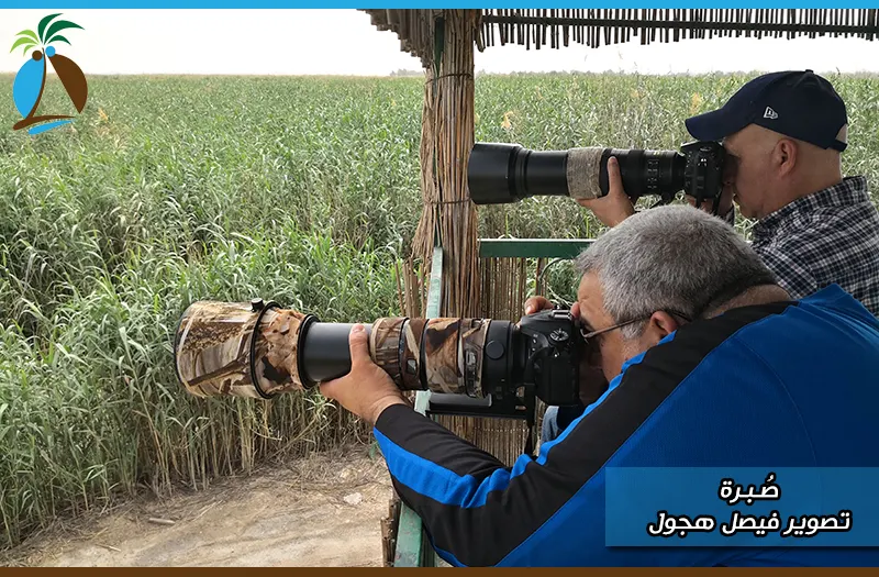 جماعة رصد الطيور تصطاد 40 نوعاً بعدساتها في الكويت