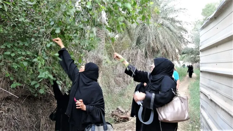 نزهة ريفية تعود بفريق نسائي إلى زمن سرقة “التوف” و “الكنار” حلالاً