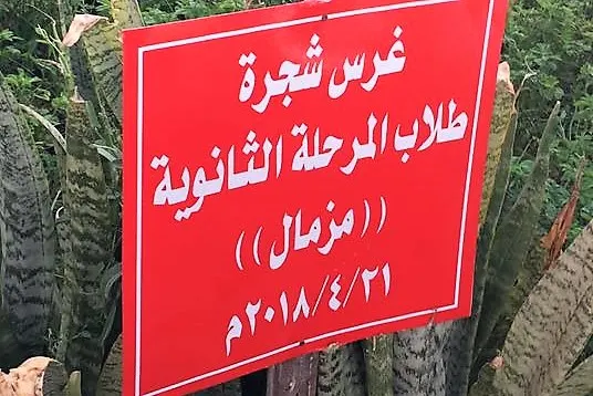 طلاب ثانوية العوامية 1984 يلتقون ويغرسون شجرة “مزمال”