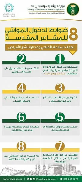 8 ضوابط لدخول المواشي إلى العاصمة المقدسة خلال الحج