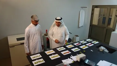 الدرويش يكشف تحدّيات زراعة النخيل وإنتاج التمور في القطيف
