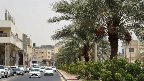 صفوى القطيف تتلقّى الضربة الأولى لـ “الشّمَالة”.. والدفء قد يعود إلى الشرقية غداً