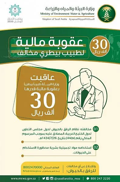 بيطري يستخدم “ماكياج” للإبل.. و “الزراعة” تغرّمه 30 ألف ريال