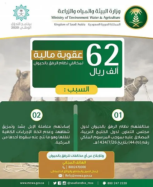 إهمال نقل وتمزيق شفاه حيوانات لأغراض تسويقية يُكلف 62 ألف ريال