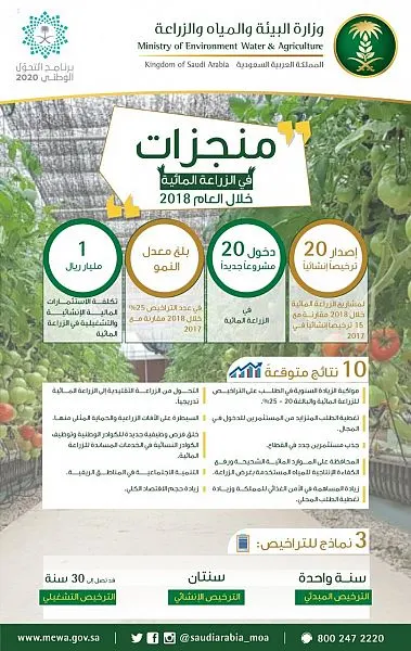البيئة: 20 مشروعاً جديداً في الزراعة المائية بـ مليار ريال