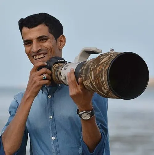 فيصل هجول.. النوارس في القطيف لا تقع “على أشكالها”