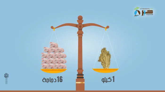 باعة التجزئة يقفلون جوالاتهم لعدم وجود بضاعة سعر كيلو “التِّتن” يعادل ثمن 16 دجاجة أو 33 كيلو رز..!