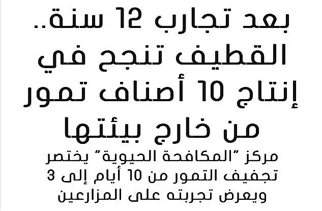 انفردت به “صُبرة”.. “البيئة” تؤكد نجاح زراعة 9 أصناف نخيل في القطيف