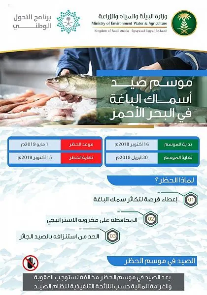بدء موسم صيد أسماك الباغة في البحر الأحمر.. 7 صفر
